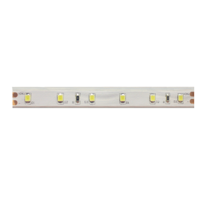 LED STRIP 5M 6W/M 24V DC IP65 BLUE  -24283560BPC