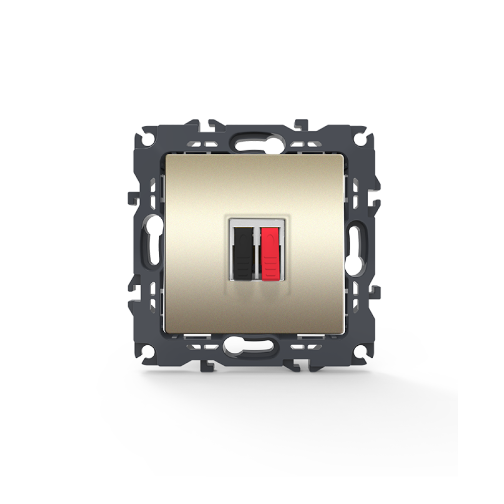 PRIME ΠΡΙΖΑ ΗΧΕΙΩΝ ΜΟΝΗ ΜΕ ΚΛΙΠ 36-230VAC IP20 MAT ΣΑΜΠΑΝΙΖΕ  -1000113504