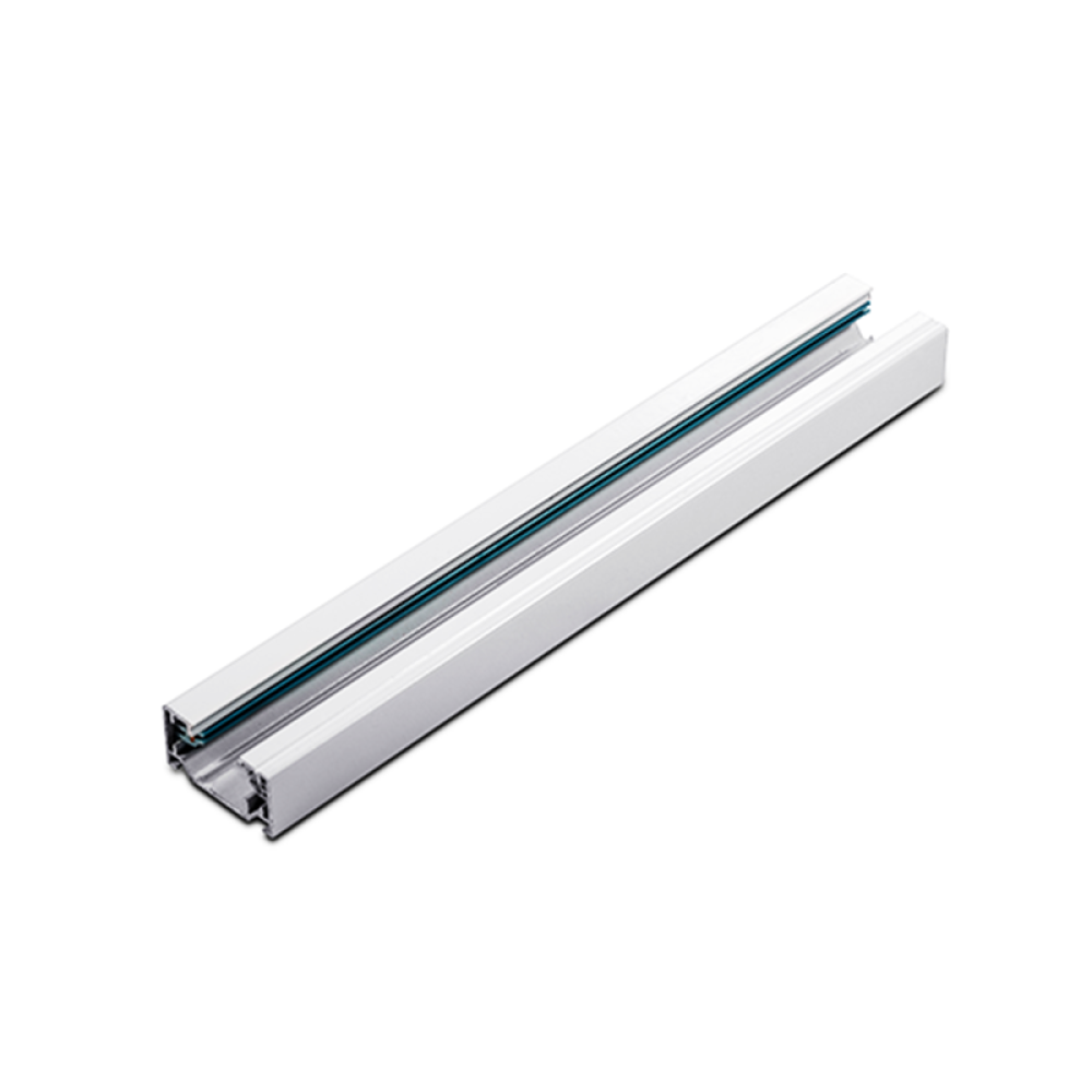 Ράγα 2 Καλωδίων 2W1MW