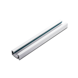 Ράγα 2 Καλωδίων 2W1MW