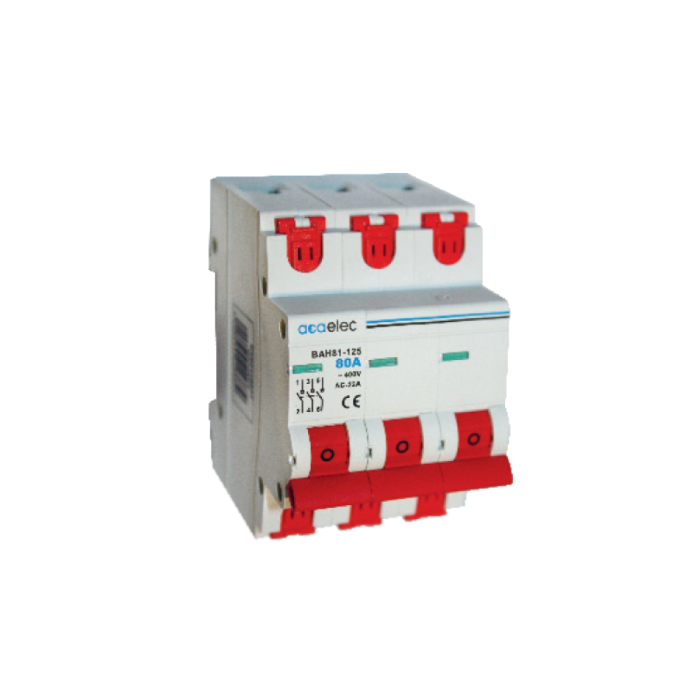 SWITCH DISCONNECTOR 3P 80A  -DY02110037