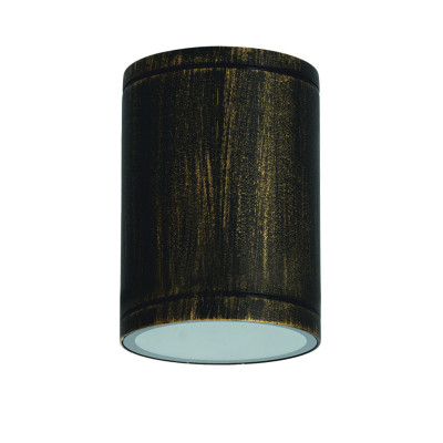 Σποτ Οροφής Εξωτερικού Χώρου Χρυσό-Μαύρο LG2302E27GB