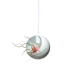 Κρεμαστό Φωτιστικό HOSTA V36037WH