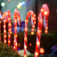 ^ 4 CANDY STAKES 40 WW LED ΛΑΜΠΑΚΙΑ 8ΠΡΟΓΡΑΜ ΑΝΑΠΤ(4.5V) IP44 M1.5m*Φ2.5cm*Y60cm 0.5m ΠΡΑΣ ΚΑΛ ΤΡ  -X13401413