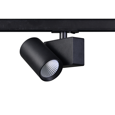 Σποτ Ράγας LED LISOR2030B2N