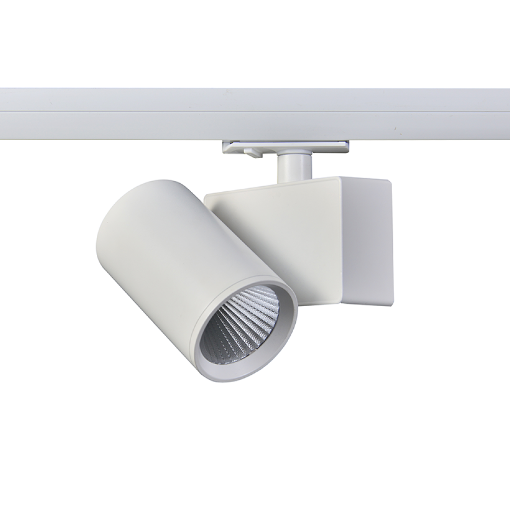 Σποτ Ράγας LED LISOR2030W2N