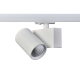 Σποτ Ράγας LED LISOR2040W2N