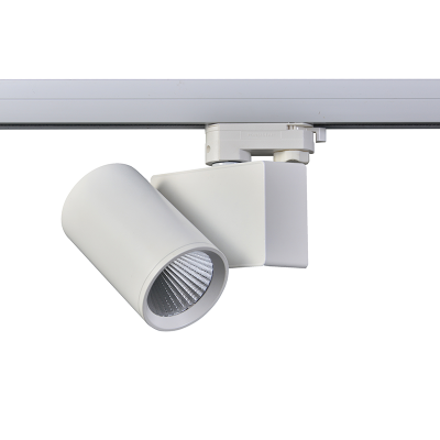 Σποτ Ράγας LED LISOR2040W4N 