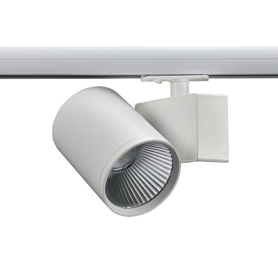 Σποτ Ράγας LED LISOR4040W2N